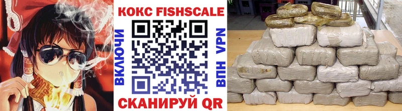как найти наркотики  Шуя  Cocaine Fish Scale 