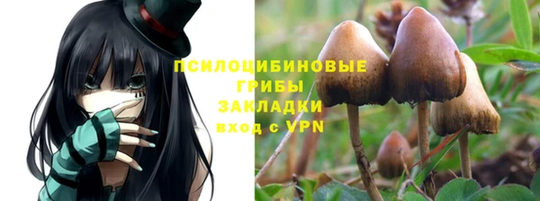 COCAINE Лабытнанги