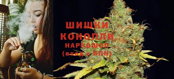 МДПВ Домодедово